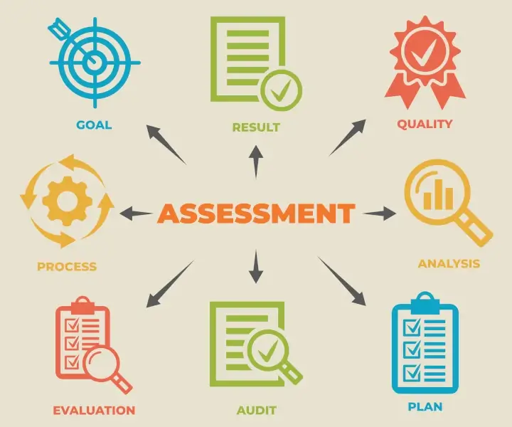 audit process